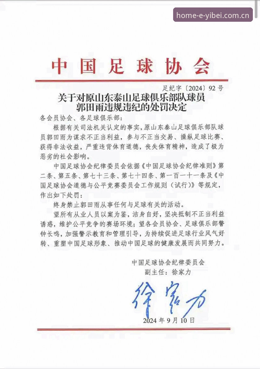 中国足协第三批禁足名单深度评测：65人受罚背后的行业乱象与体育精神反思